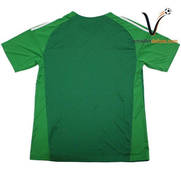 Maillot Gardien Argentine 2026 vert – Image 2