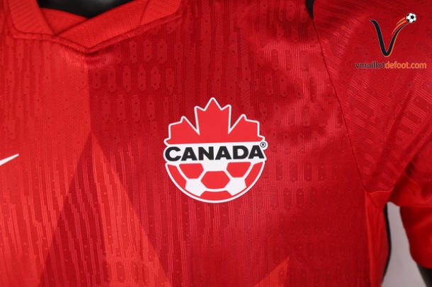 Maillot Domicile Cameroun joueurs 2026 – Image 2