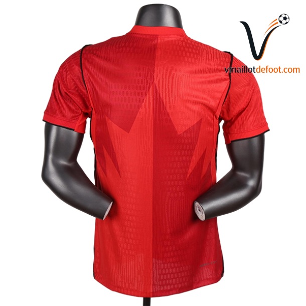 Maillot Domicile Cameroun joueurs 2026 – Image 3