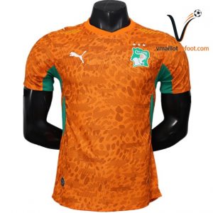 Maillot Domicile Cote d Ivoire joueurs 2026/2027