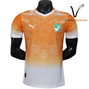 Maillot Cote d Ivoire Special 2026