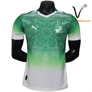 Maillot Cote d Ivoire Special 2026 vert blanc