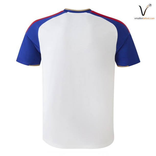 Maillot Extérieur Olympique lyonnais 2026 2027 – Image 2