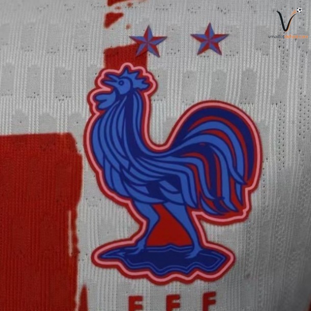 Maillot France Special Joueurs 2026/2027 – Image 2