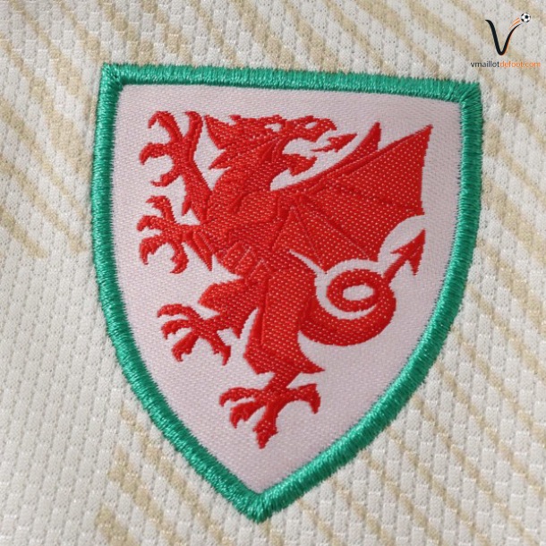 Maillot Extérieur Pays De Galles 2026/2027 - Ensemble Enfant – Image 2