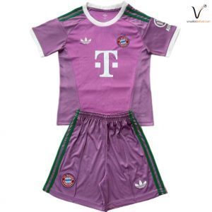 Maillot Gardien Bayern Munich 2026/2027 pourpre