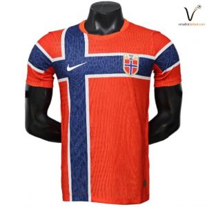 Maillot Domicile Norvege Joueurs 2026 2027